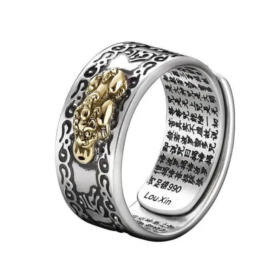 Couple-Ring-Feng-Shui-Amulet-Wealth-Lucky-Open-Adjustable-Ring-Buddhist-Jewelry-for-Women-Men-Gift